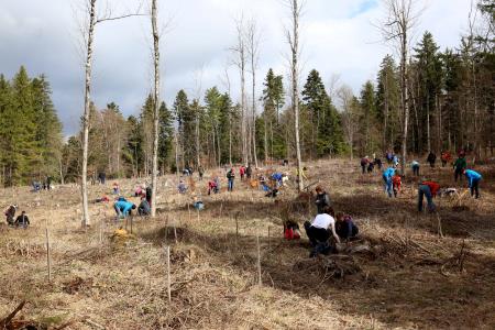 POGOZDOVANJE V RAKOVEM ŠKOCJANU 32 FOTO LJUBO VUKELIČ